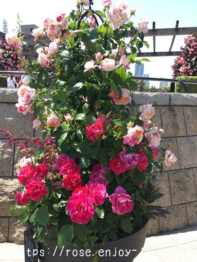 ギー サヴォア&マネ