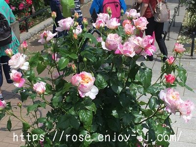 エドゥアール マネ