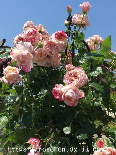 エドゥアール マネ