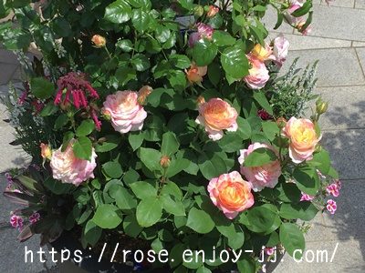 マルク シャガール