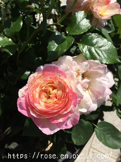 マルク シャガール