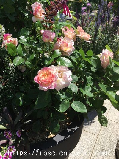 マルク シャガール