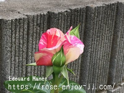 エドゥアール　マネ