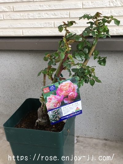 エドゥアール マネ