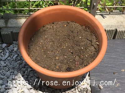 東北八重ひまわり