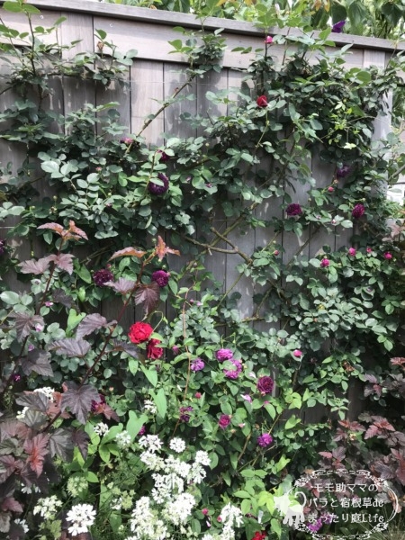 オデュッセイア