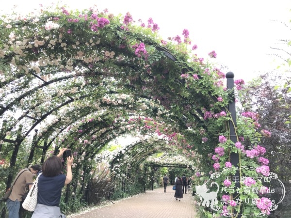 ローズトンネル