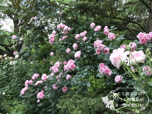 アントニオ・ガウディ