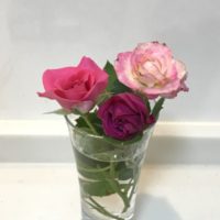 うらら、セラフィム 、シェークスピア2000