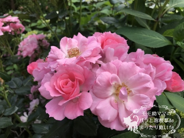 シティ・オブ・ヨコハマ