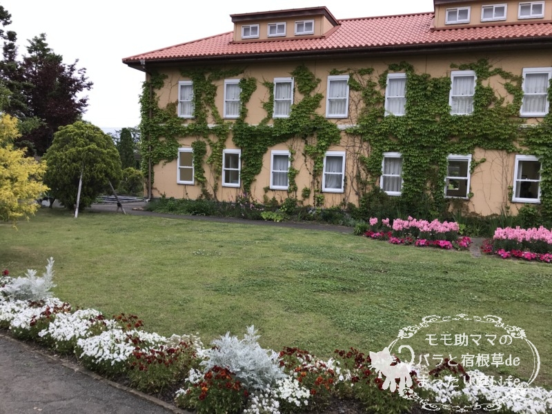 チャペックの家と庭