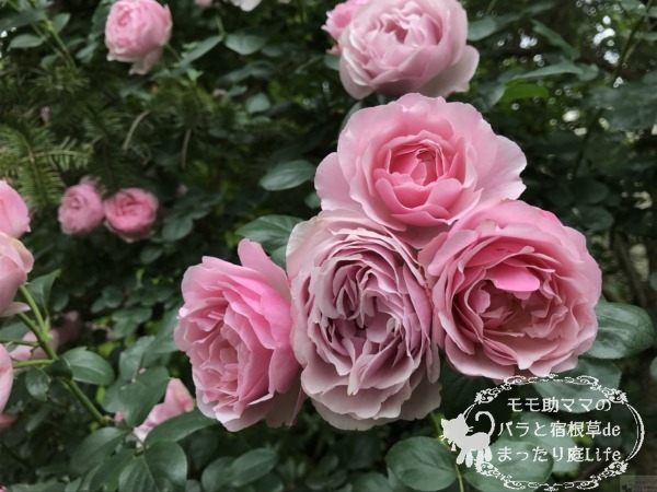 アントニオ・ガウディ