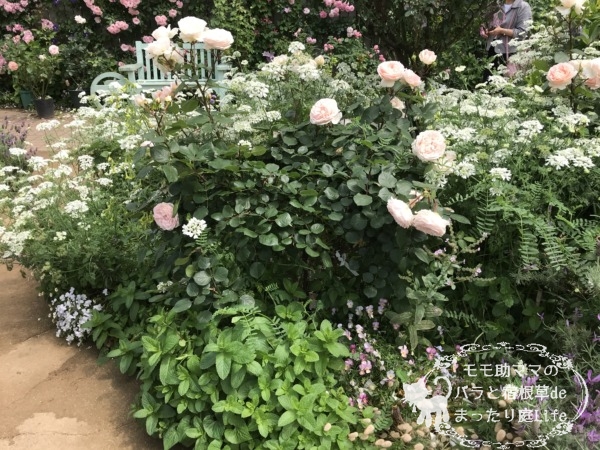 メルヘンツァウバー