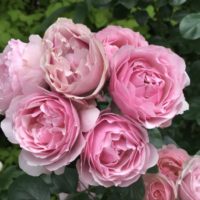 アントニオ・ガウディ