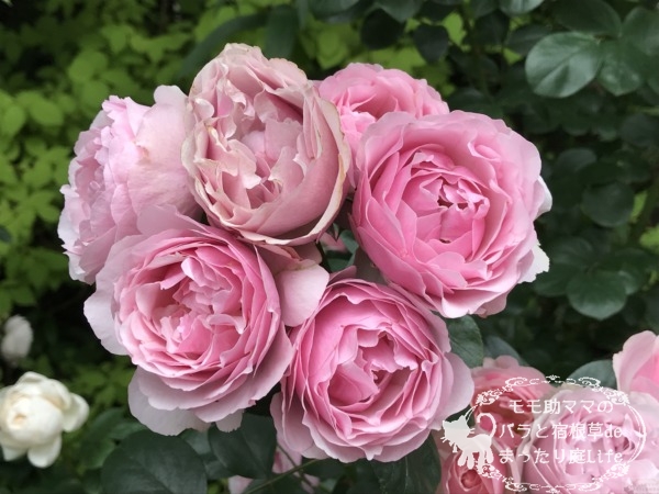 アントニオ・ガウディ