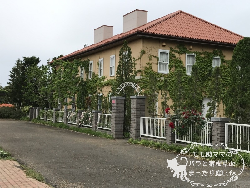 チャペックの家と庭