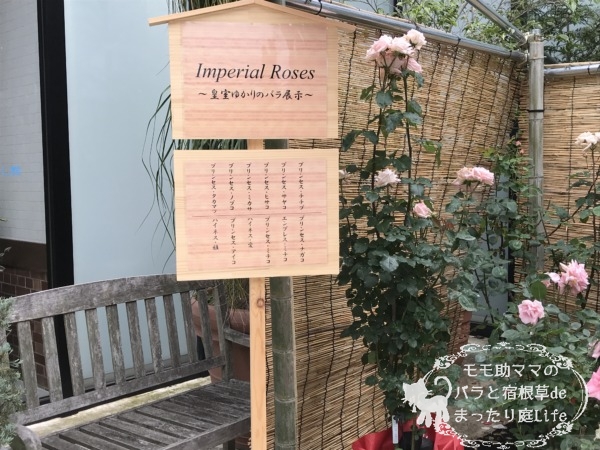 皇室ゆかりのバラ