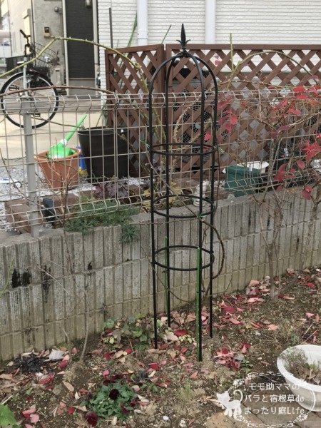 エブリンをオベリスクに誘引